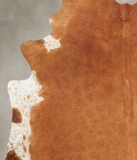Brown and White Regular Cowhide Rug #B1179