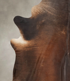 Brown with Red Cowhide Rug #B1191