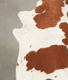 Brown and White Cowhide Rug #B1207