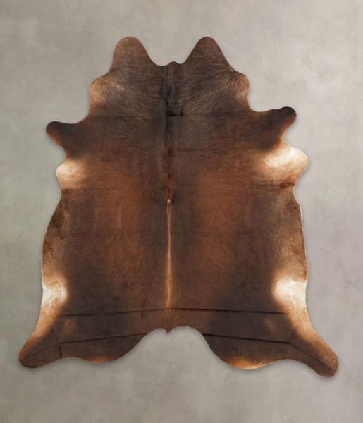 Brown with Red Cowhide Rug #B1293