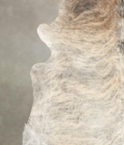 Light Brindle Cowhide Rug #B1328