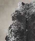 Salt and Pepper Black Cowhide Rug #B13449