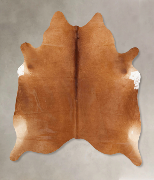 Solid Brown Cowhide Rug #B13504