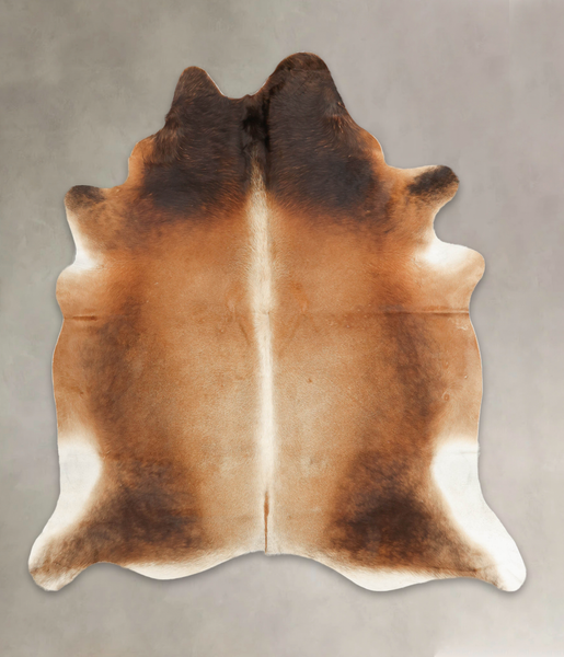 Brown with Red Cowhide Rug #B1360