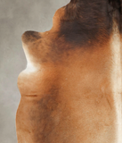 Brown with Red Cowhide Rug #B1360