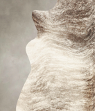 Grey Brindle Cowhide Rug #B1374