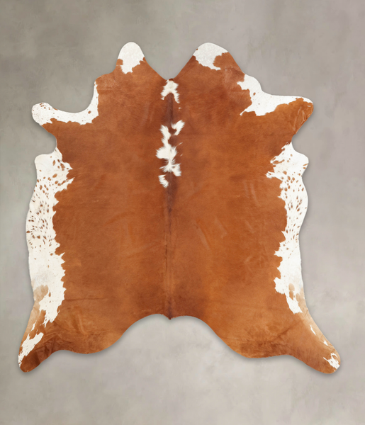 Brown and White Regular Cowhide Rug #B1395