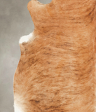 Medium Brindle Cowhide Rug #B1507