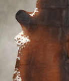 Brown with Red Cowhide Rug #B1605