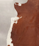 Brown and White Regular Cowhide Rug #B1616