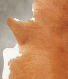 Brown and White Regular Cowhide Rug #B1630