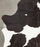 Chocolate and White Cowhide Rug #B1700