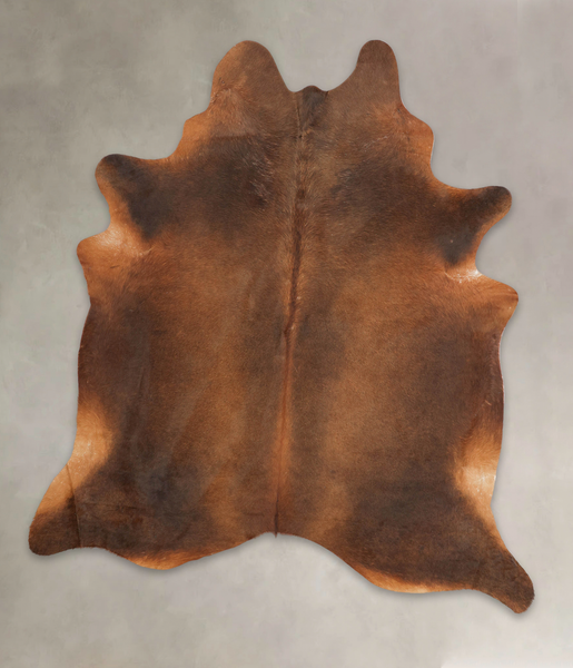 Brown with Red Cowhide Rug #B1795