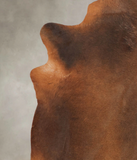 Brown with Red Cowhide Rug #B1795