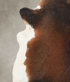 Chocolate and White Cowhide Rug #B1824