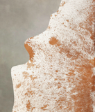 Salt and Pepper Brown Cowhide Rug #B1879
