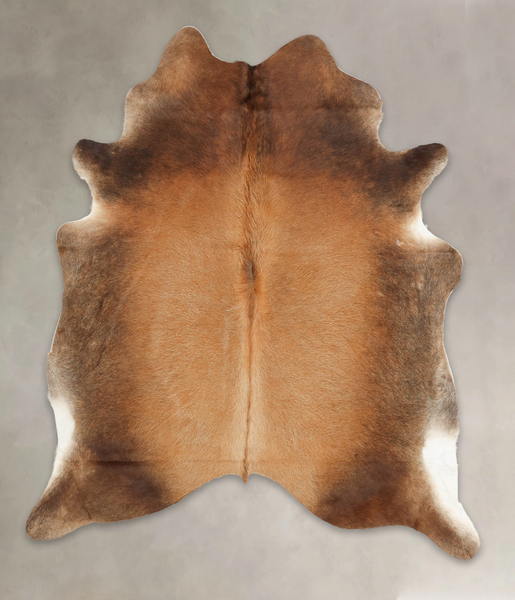 Brown with Red Cowhide Rug #B1889