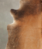 Brown with Red Cowhide Rug #B1889