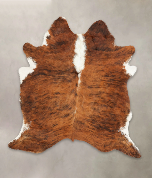 Tricolor Cowhide Rug #B1920