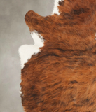 Tricolor Cowhide Rug #B1920