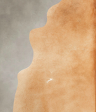Beige Cowhide Rug #B1947