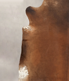 Brown and White Regular Cowhide Rug #B2027