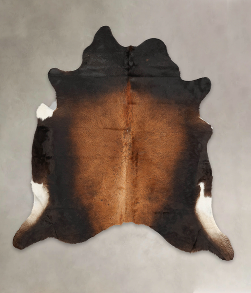 Brown with Red Cowhide Rug #B2038