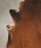 Brown with Red Cowhide Rug #B2042