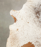Salt and Pepper Brown Cowhide Rug #B2061