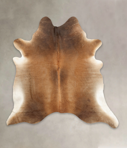Brown with Red Cowhide Rug #B2076