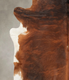 Brown with Red Cowhide Rug #B2114
