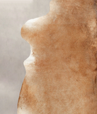 Caramel Cowhide Rug #B2127