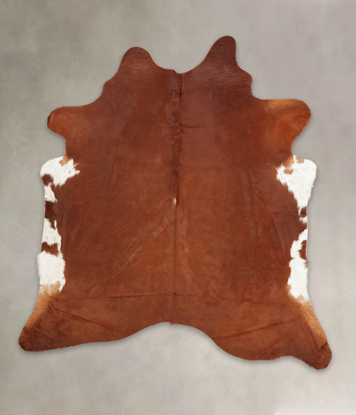 Brown and White Regular Cowhide Rug #B2130