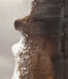 Salt and Pepper Brown Cowhide Rug #B2163