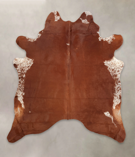 Brown and White Regular Cowhide Rug #B2179