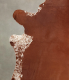 Brown and White Regular Cowhide Rug #B2179