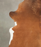 Brown and White Regular Cowhide Rug #B2180