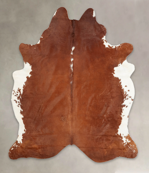 Brown and White Regular Cowhide Rug #B2191