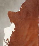 Brown and White Regular Cowhide Rug #B2191