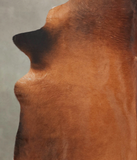 Brown with Red Cowhide Rug #B2197