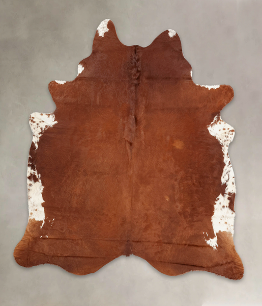 Brown and White Regular Cowhide Rug #B2218