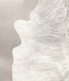 Grey Brindle Cowhide Rug #B2238