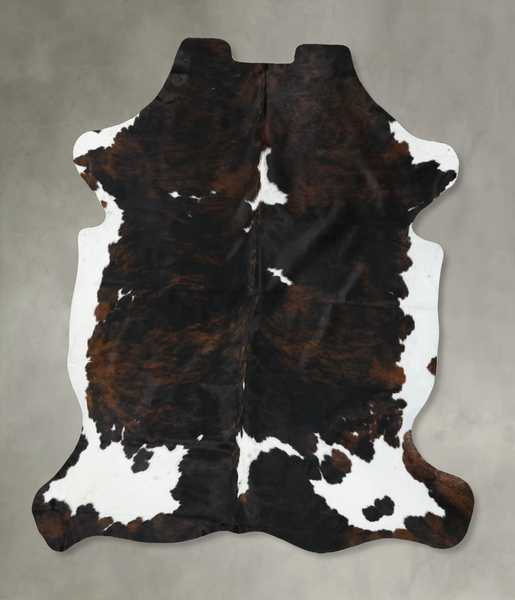 Tricolor Cowhide Rug #B22388