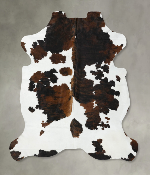 Tricolor Cowhide Rug #B22413