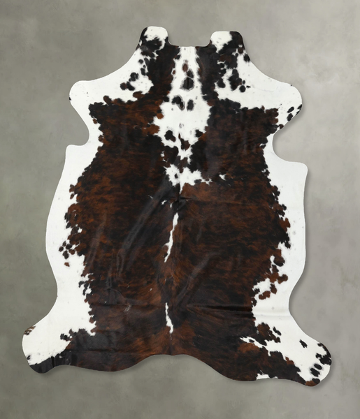 Tricolor Cowhide Rug #B22414