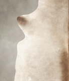Grey with Beige Cowhide Rug #B2243