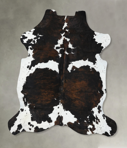 Tricolor Cowhide Rug #B22458