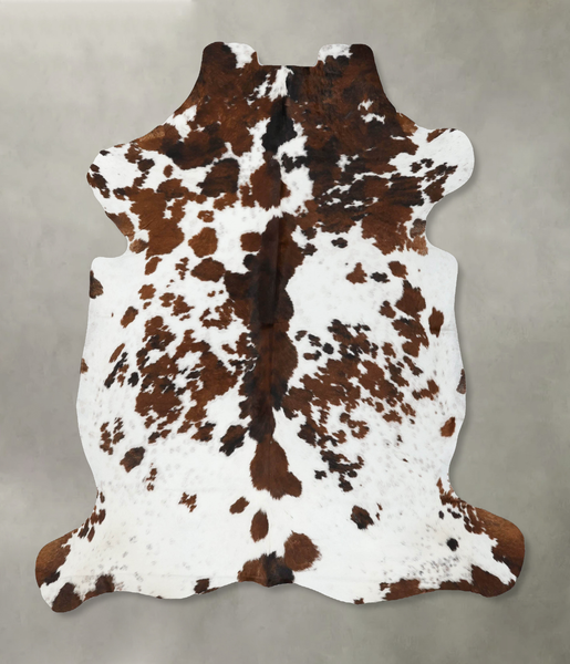 Tricolor Cowhide Rug #B22507