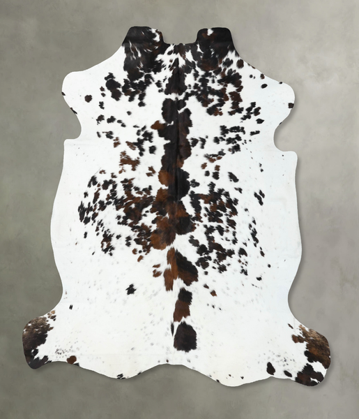 Tricolor Cowhide Rug #B22550