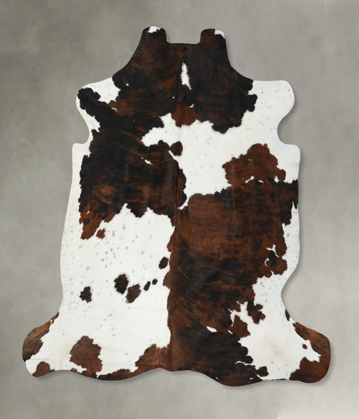 Tricolor Cowhide Rug #B22560